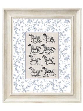 Framed Classic Horse Gaits Wall Art